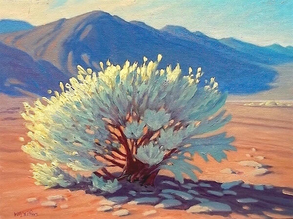 desert glory - death valley flora death valley art - desert plant - landscape art